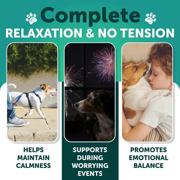 Hemp Calming Chews For Dogs Dog Anxiety Relief Treats With Hemp Oil Turmeric Valerian Ginger