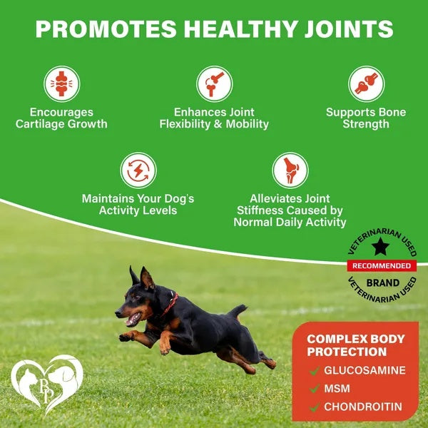 Dog Hip And Joint Supplement Arthritis Pain Relief Treats