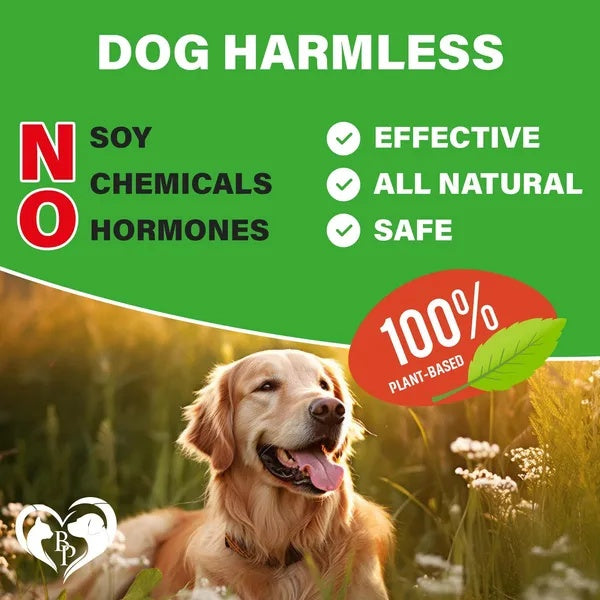 Dog Hip And Joint Supplement Arthritis Pain Relief Treats