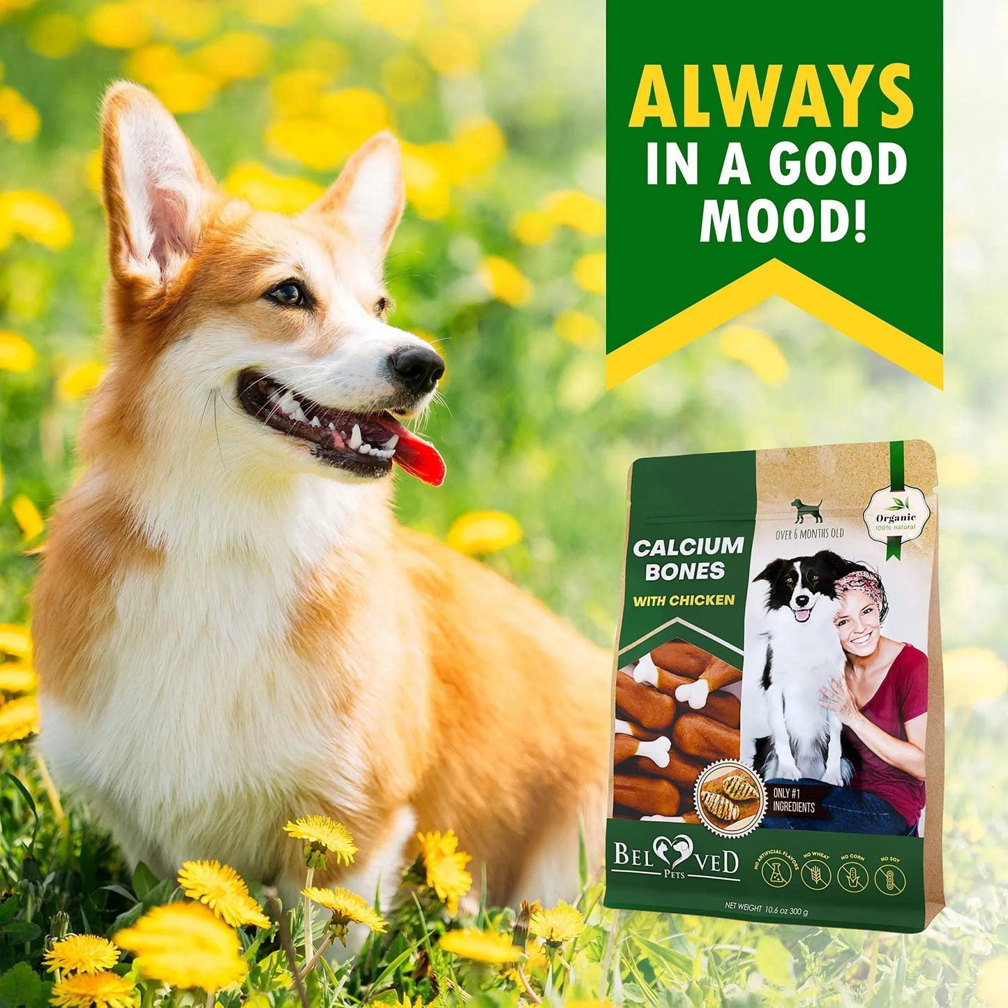 Dog Calcium Bones Wrapped Chicken & Rawhide Free Chew Treats