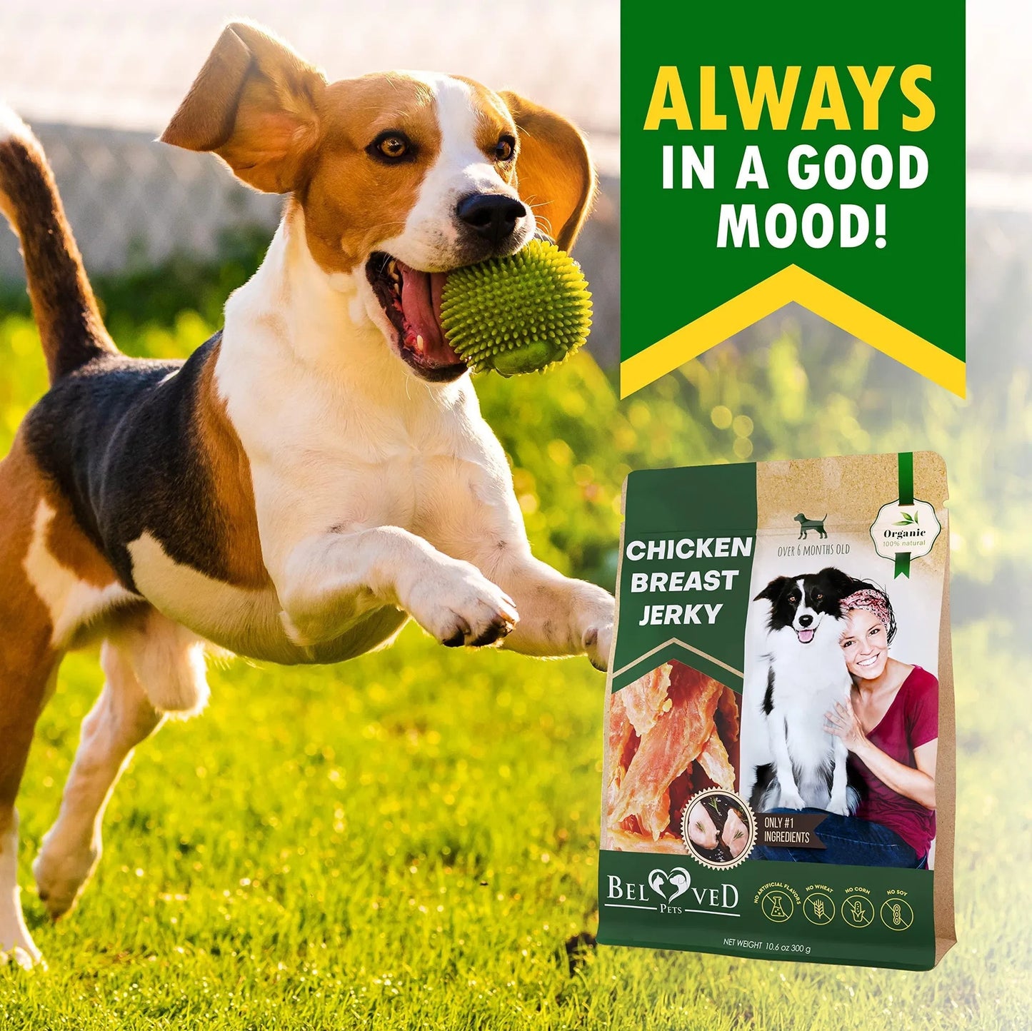 Chicken Jerky Dog Treats All Natural And Organic Healthy Snacks For Large & Small Dogs