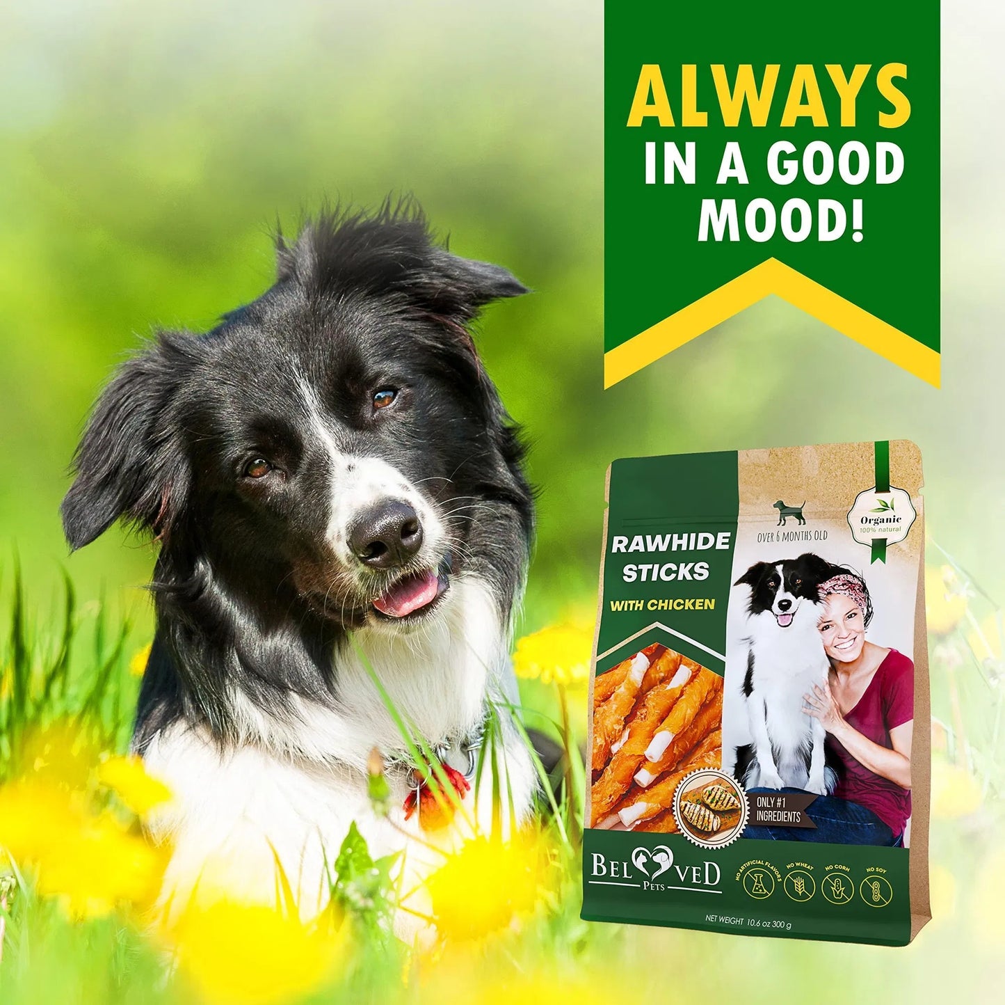 Dog Sticks Wrapped With Chicken & Pet Natural Chew Treats